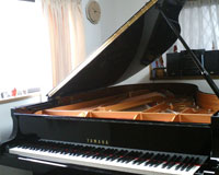 YAMAHA �O�����h�s�A�m