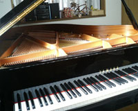 YAMAHA �O�����h�s�A�m